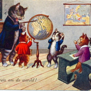 关税战：群殴变单挑甚至倒群殴怎么办