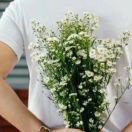 永不坠落的陨石