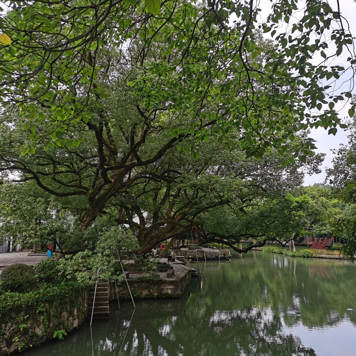 扑街101，恭喜大厂大IP大制作集体出道- 老娘数到3 | 小宇宙- 听播客，上小宇宙