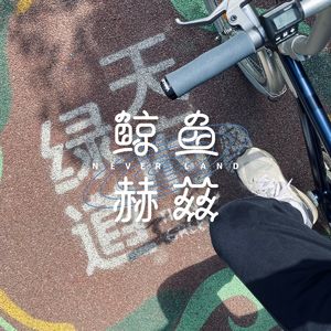 Vol.58 绿道、骑行、公园、野餐，成姆斯特丹欢迎您！
