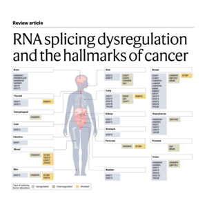 188-RNA Splicing Dysregulation and Cancer Hallmarks