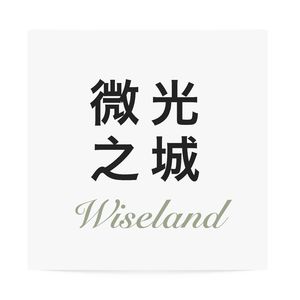 微光之城 Wiseland