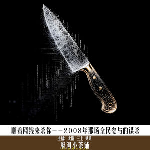 顺着网线来杀你——2008年那场全民参与的谋杀