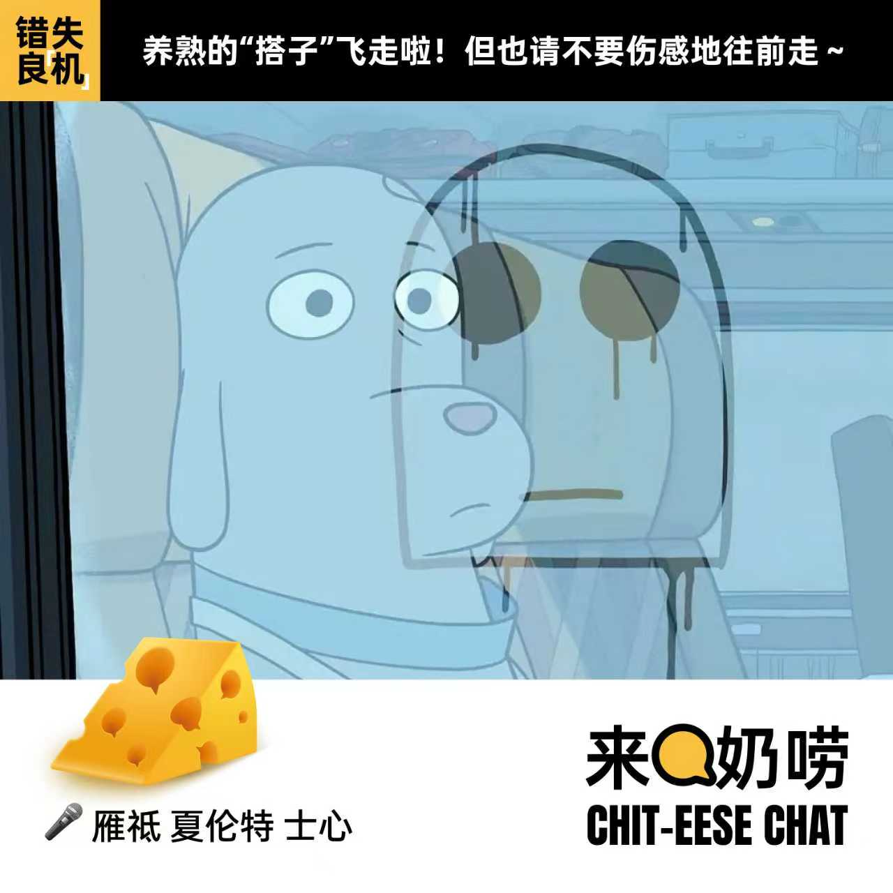 Vol.15 错失良[机]｜养熟的“搭子”飞走啦！但也请不要伤感地往前走～ episode artwork