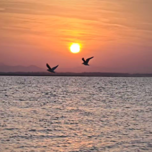 Vol.026 你终究没有得到TA的喜欢，但这不是你的错