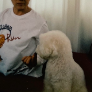 005.我和我婆婆一起看完这本书 好好的成长 好好的老去