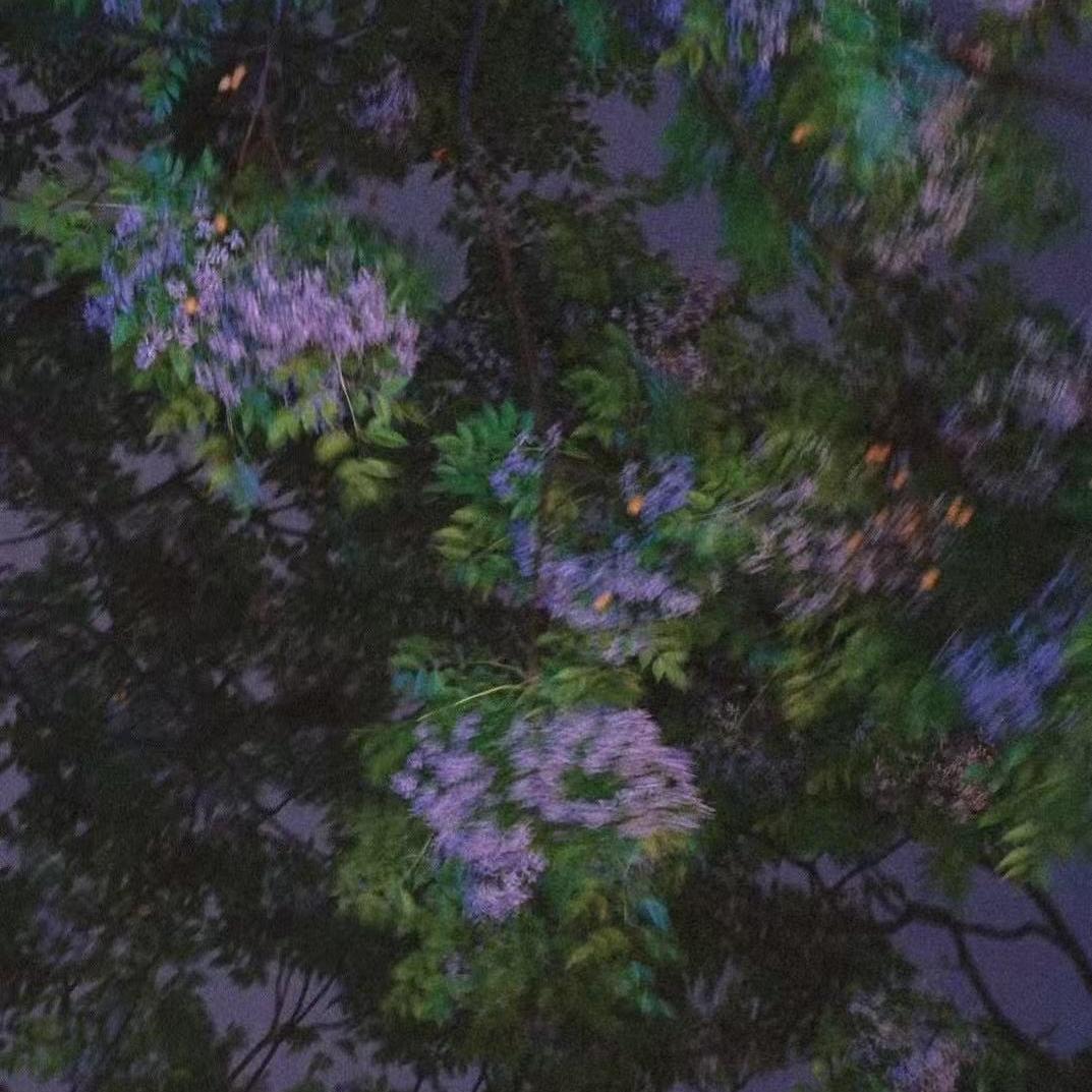 45.Playlist｜夏末终曲 episode artwork