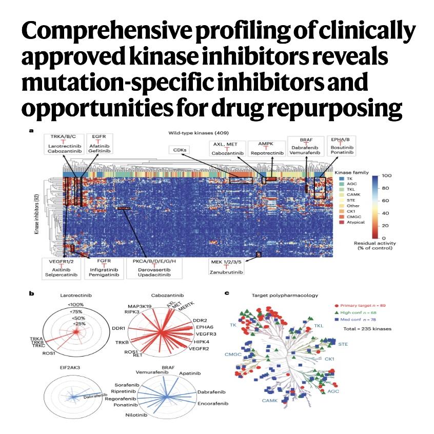 1014-KIRHub: Comprehensive Profiling of Kinase Inhibitors episode artwork