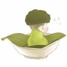 梅子的圆子