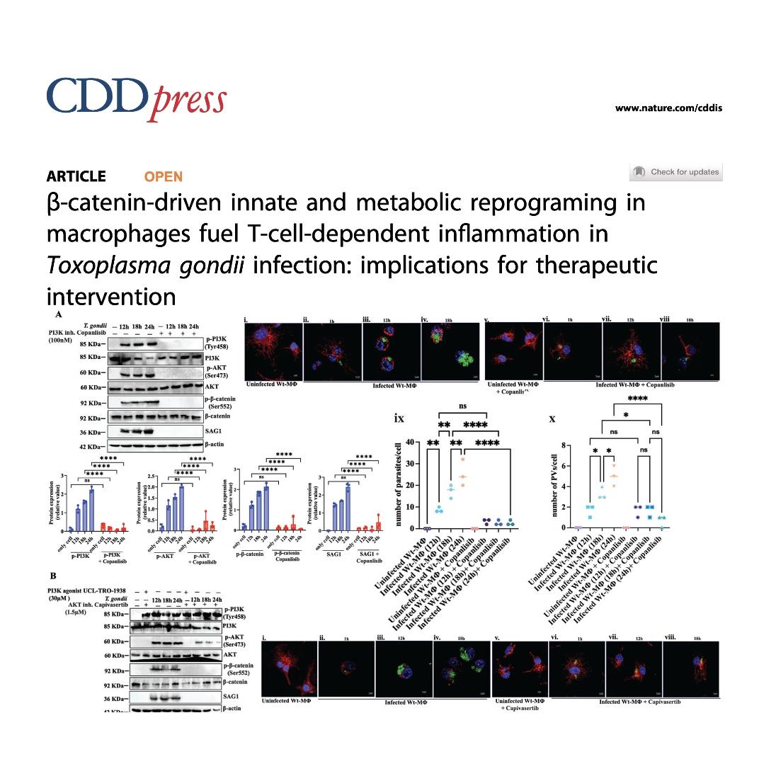 1454-β-Catenin Signaling in Toxoplasma gondii Infection episode artwork