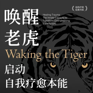 《唤醒老虎：启动自我疗愈本能》下丨对抗创伤后遗症的方法都在这里