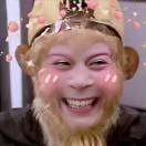 蝉翼_HfmQ