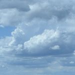 啊叶叶叶