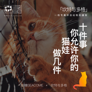 002期 ｜ 十件事，你允许你的猫娃做几件