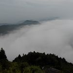 勒妮