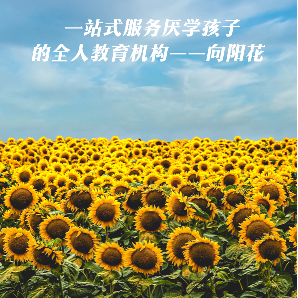 cover of episode S3E4｜🌻向阳花成长中心，让厌学孩子重新绽放～