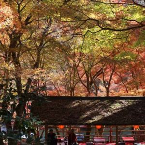 敏感时期，与好友忐忑又愉快的日本旅行