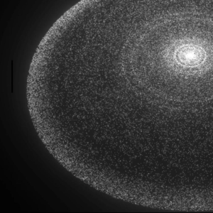 AI的思考"脚手架"：深入解读序列思考（Sequential Thinking）工具