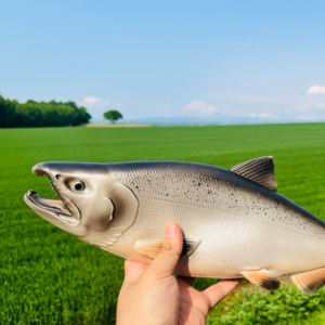 034. 当T14 JD吃到张雪峰红利：新米青椒打工人的实然与教育者的应然