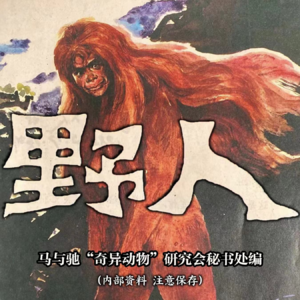 一定要找到野人!【完整版】