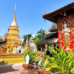 旅行的无意义036|云南西双版纳旅游跟团?我劝你三思,大冤种踩雷实录(下)