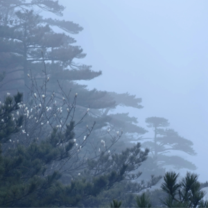 见山海02|涳之濛之,时正清明