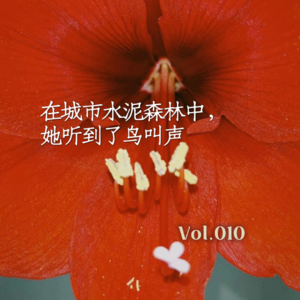 Vol.010 在城市水泥森林中,她听到了鸟叫声