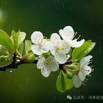 空山月明