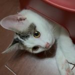 椒椒椒椒椒椒21