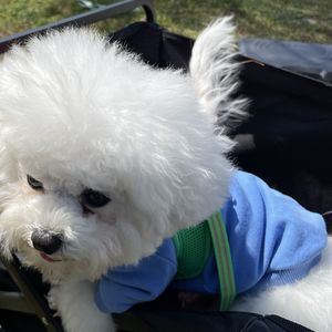 Kaylee_i