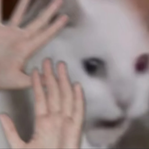 36.逐渐接近内心的感受