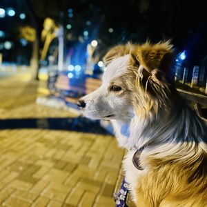 不务正业的张老师