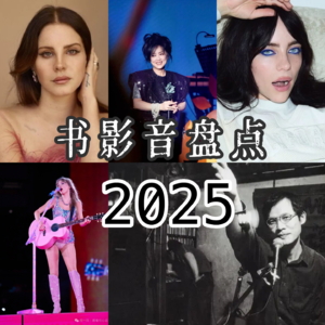 盘盘2025:世界向下走，但不能缺书影音和酒