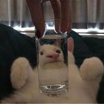 Soda_lakuku