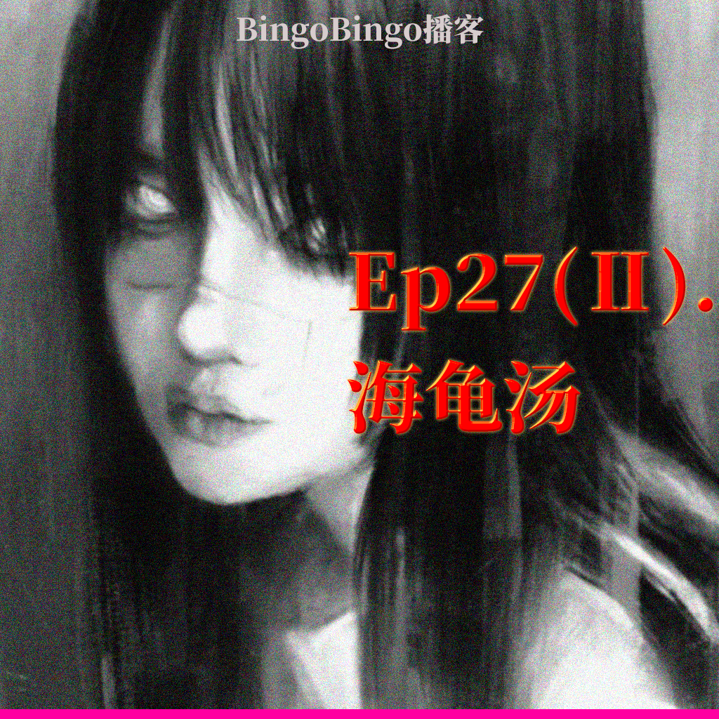 Ep27(Ⅱ).海龟汤：共同堕入的深渊 episode artwork