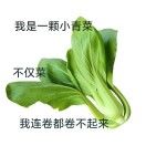 煎饼果子_cDgS