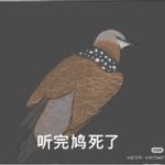 钦文_Kwwd