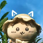 俞朝朝