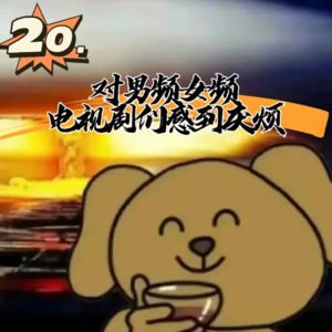 20.对男频女频电视剧们感到厌烦