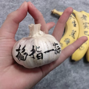 花2000块钱算了个命