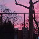 城乡结合部西站