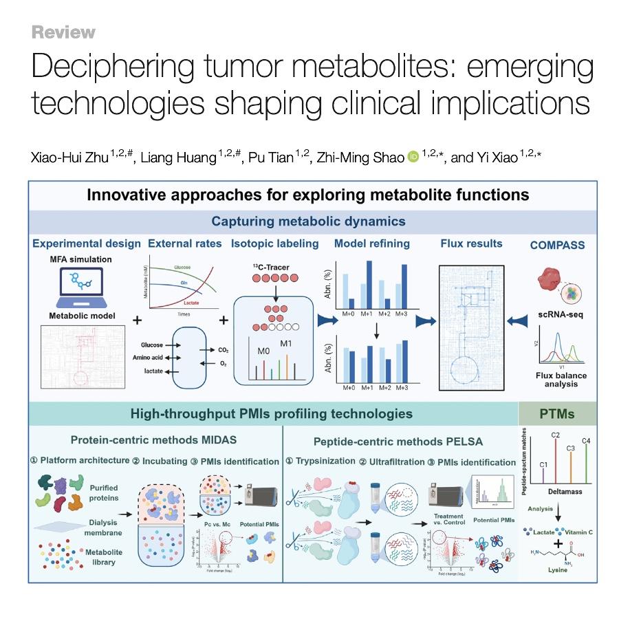 1043-Deciphering Tumor Metabolites episode artwork