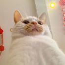 BlowinInTheWind_e0hC