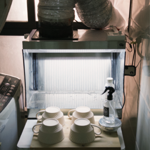 天气凉快适合躺着，天气热了喜欢猛猛干活 📅 Jun.30