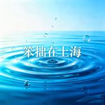 笨拙在上海
