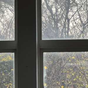 0.7 by惘闻（预告音频）