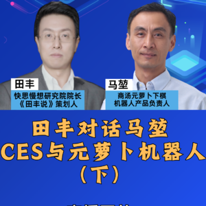 田丰对话马堃：CES机器人与元萝卜（下）