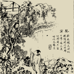 第629期：聊聊聊斋48：《婴宁》（中）——当表白成为一场跨服聊天