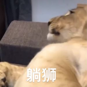 8Tok