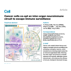 212-Neuroimmune Circuit Enables Cancer Immune Evasion
